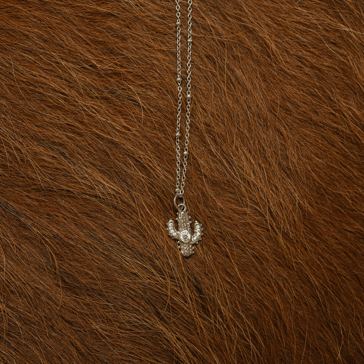 Saguaro Charm