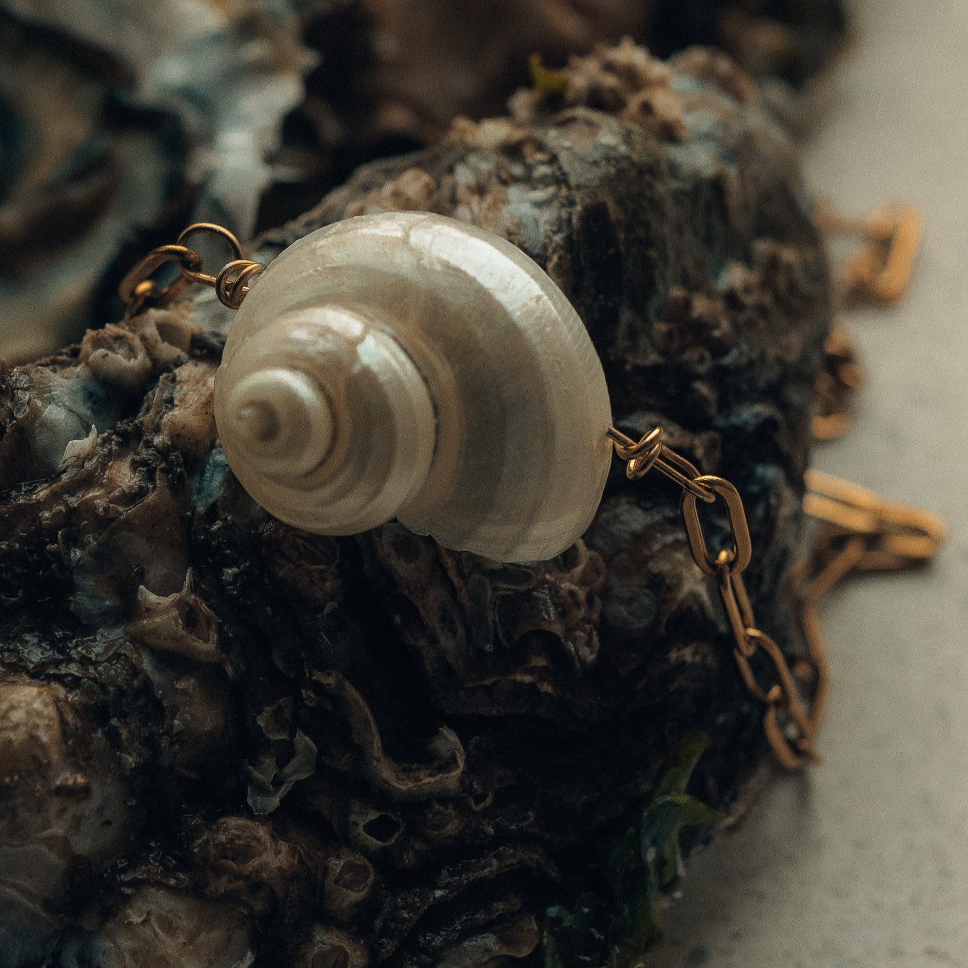 Spiral Shell necklace