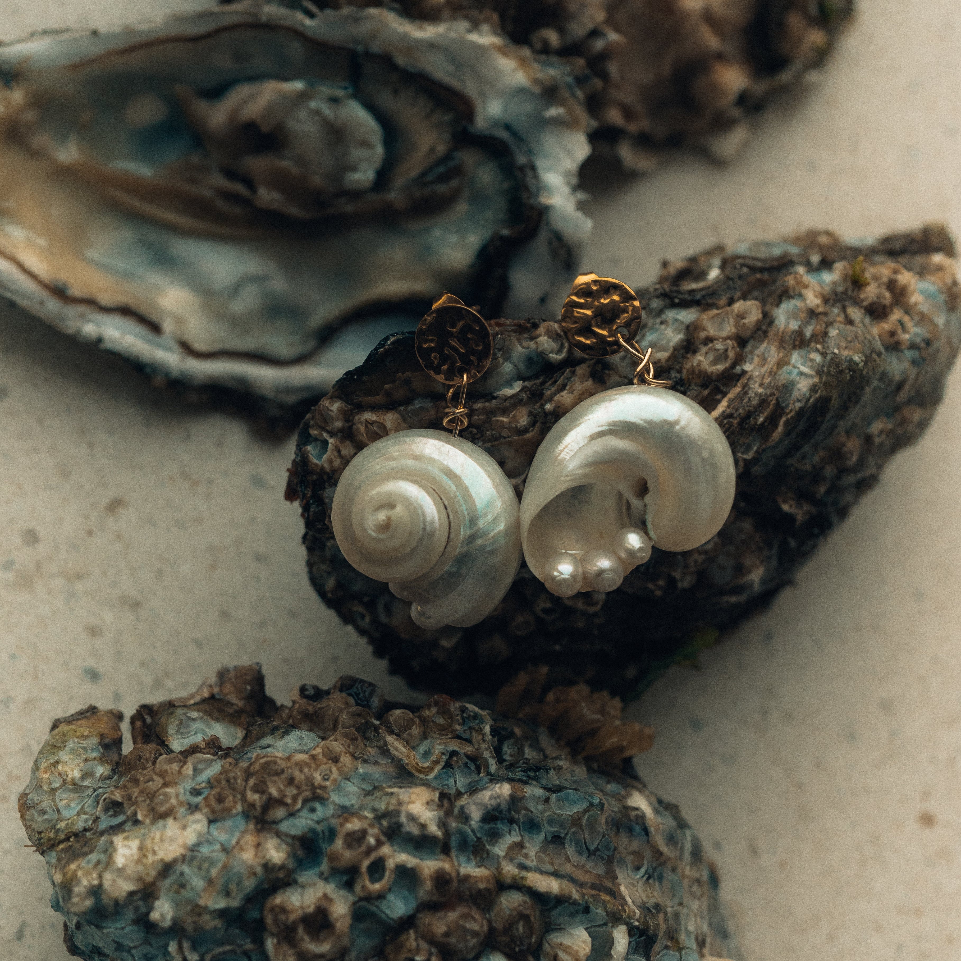 Spiral Shell earrings