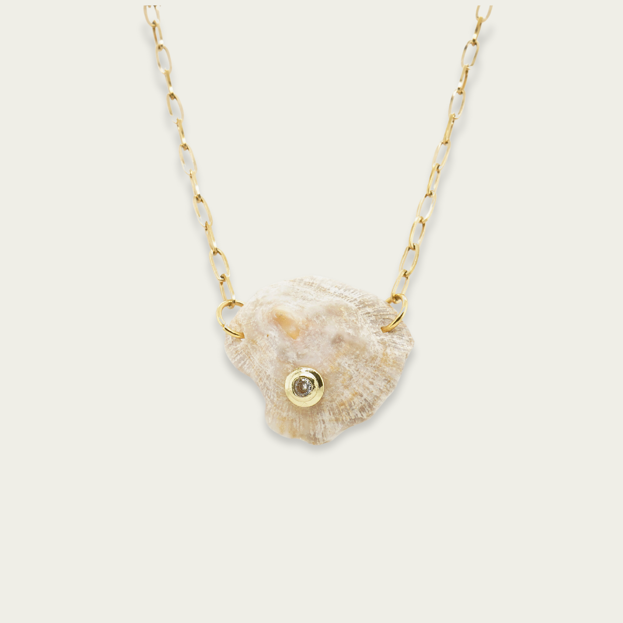Old Sea Shell necklace