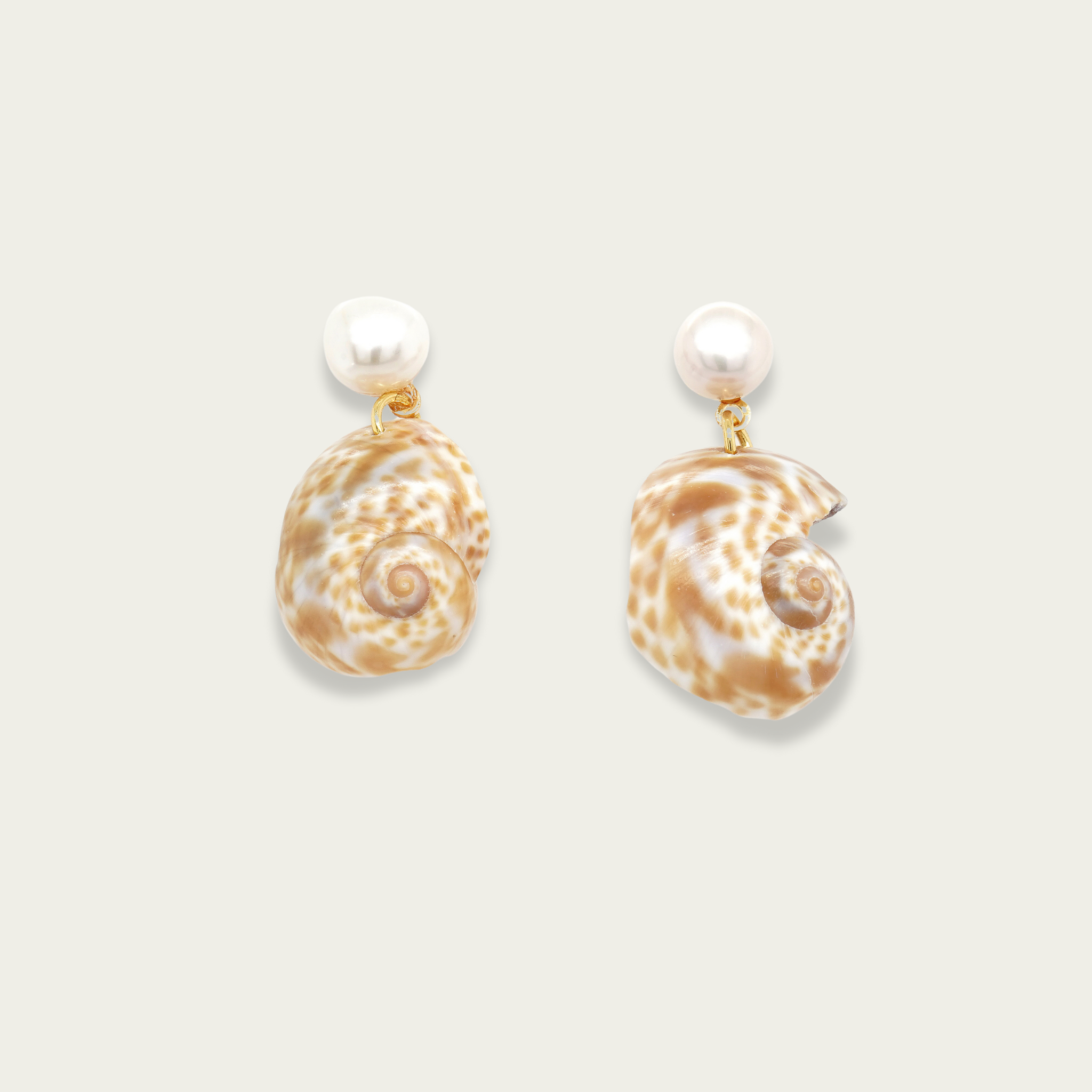Brown Spiral Shell earrings