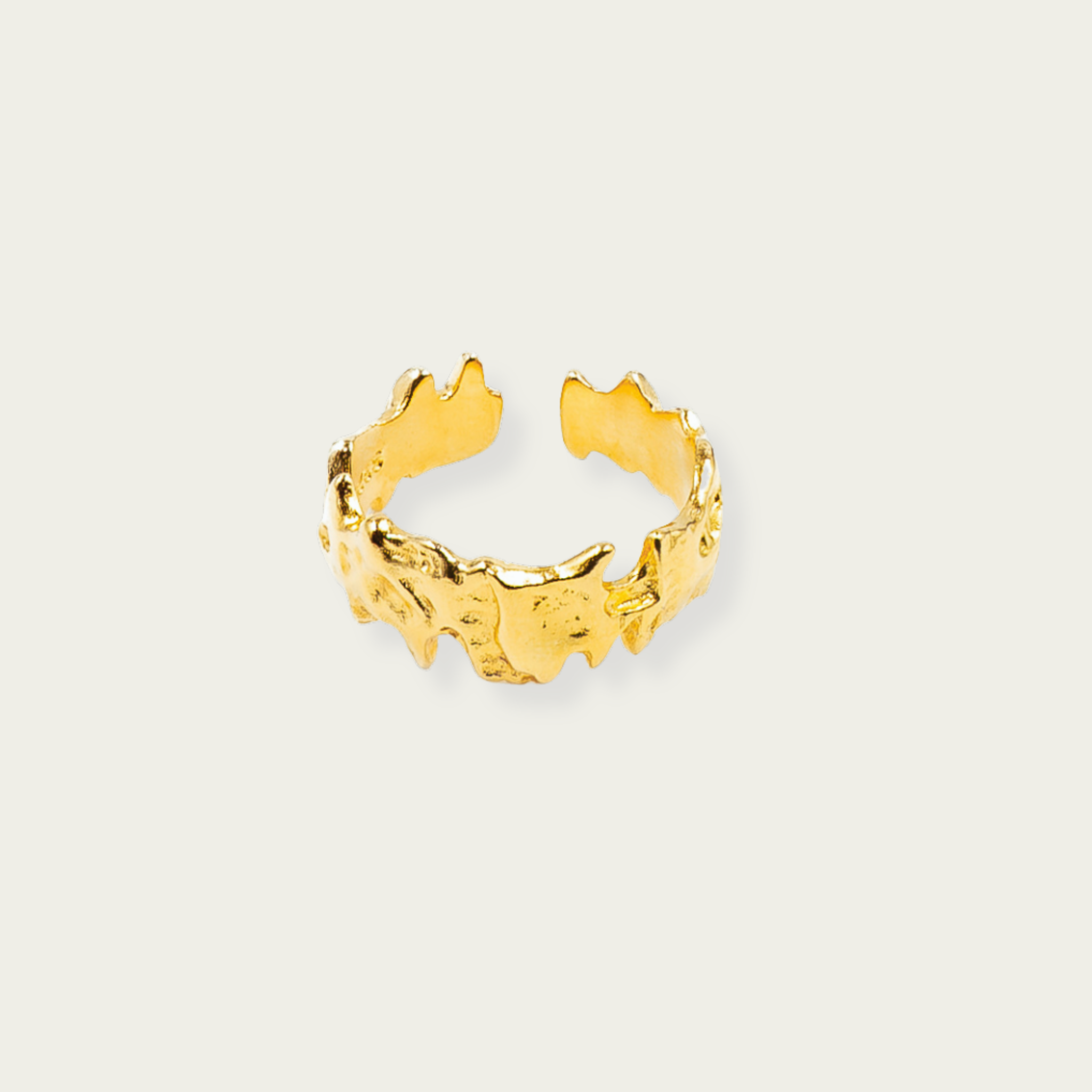 The Mundi ring