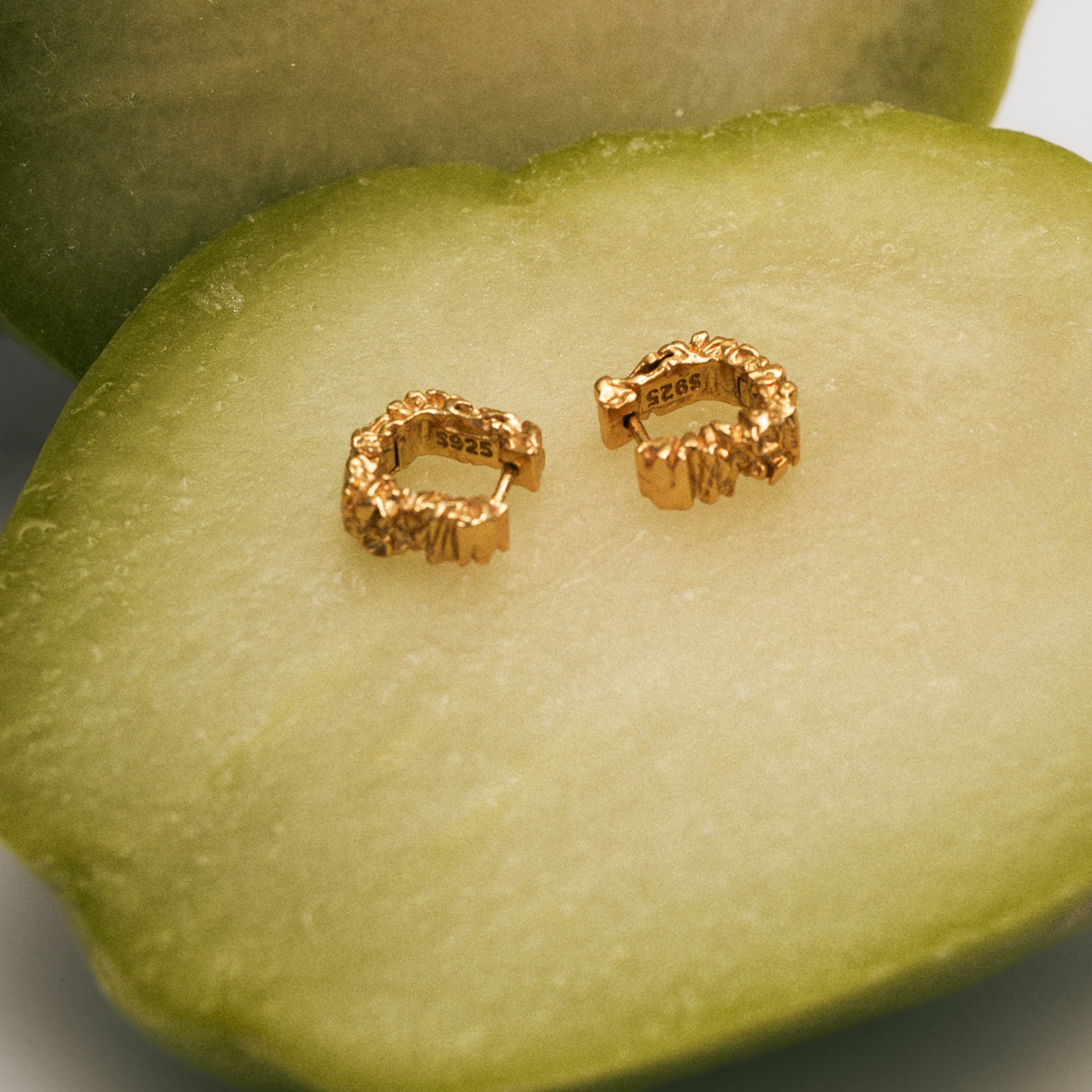 The Hug 925 Earrings