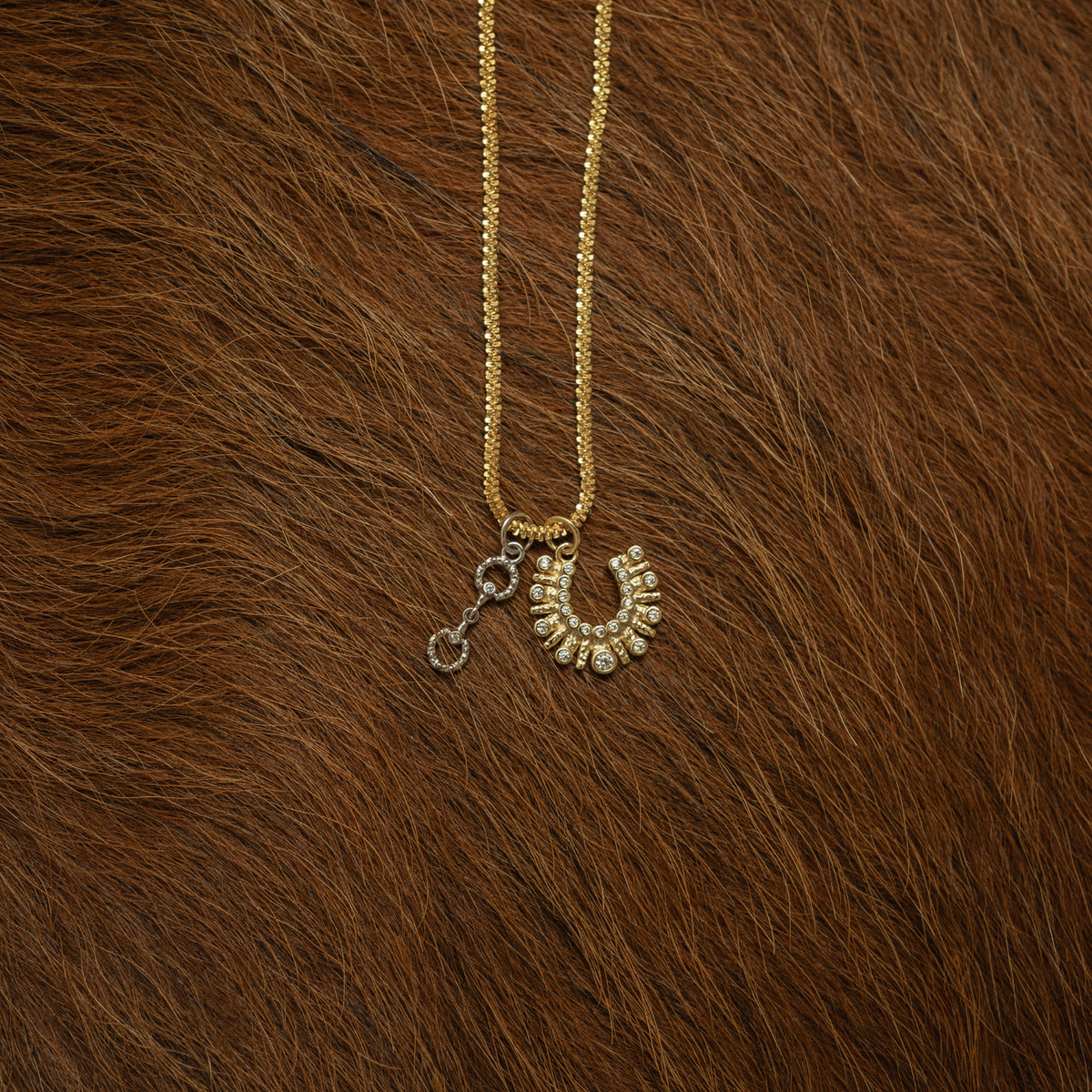 Gold Claro Necklace