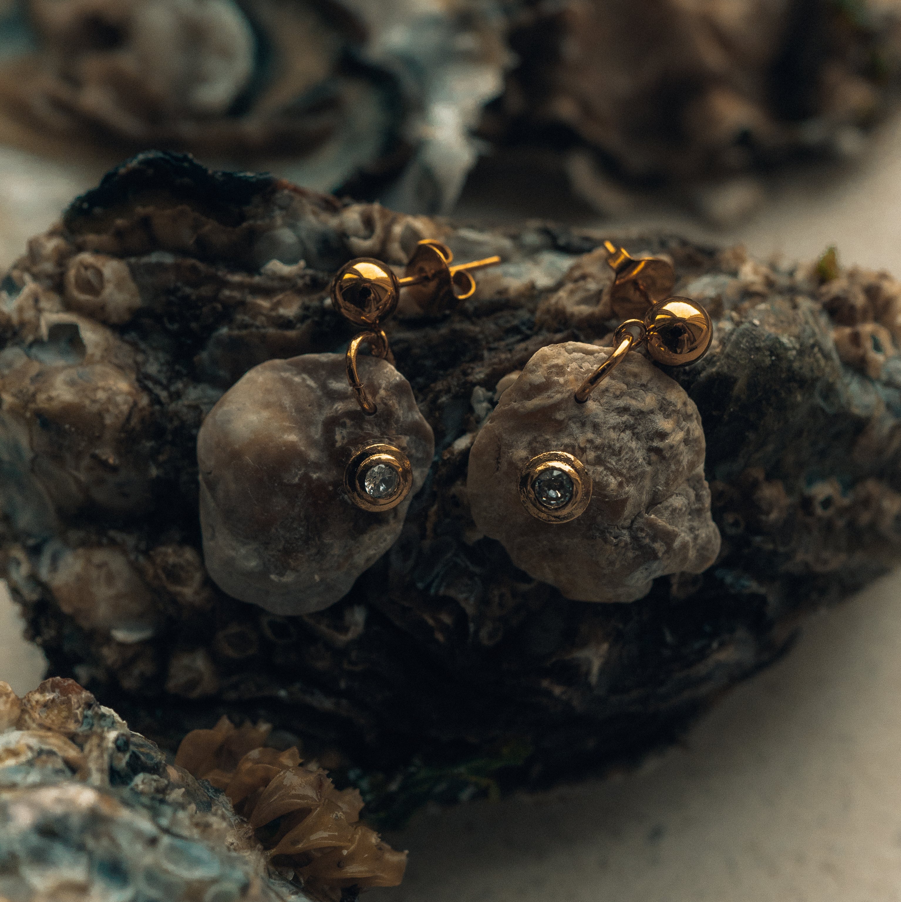 Natural Sea Shell earrings