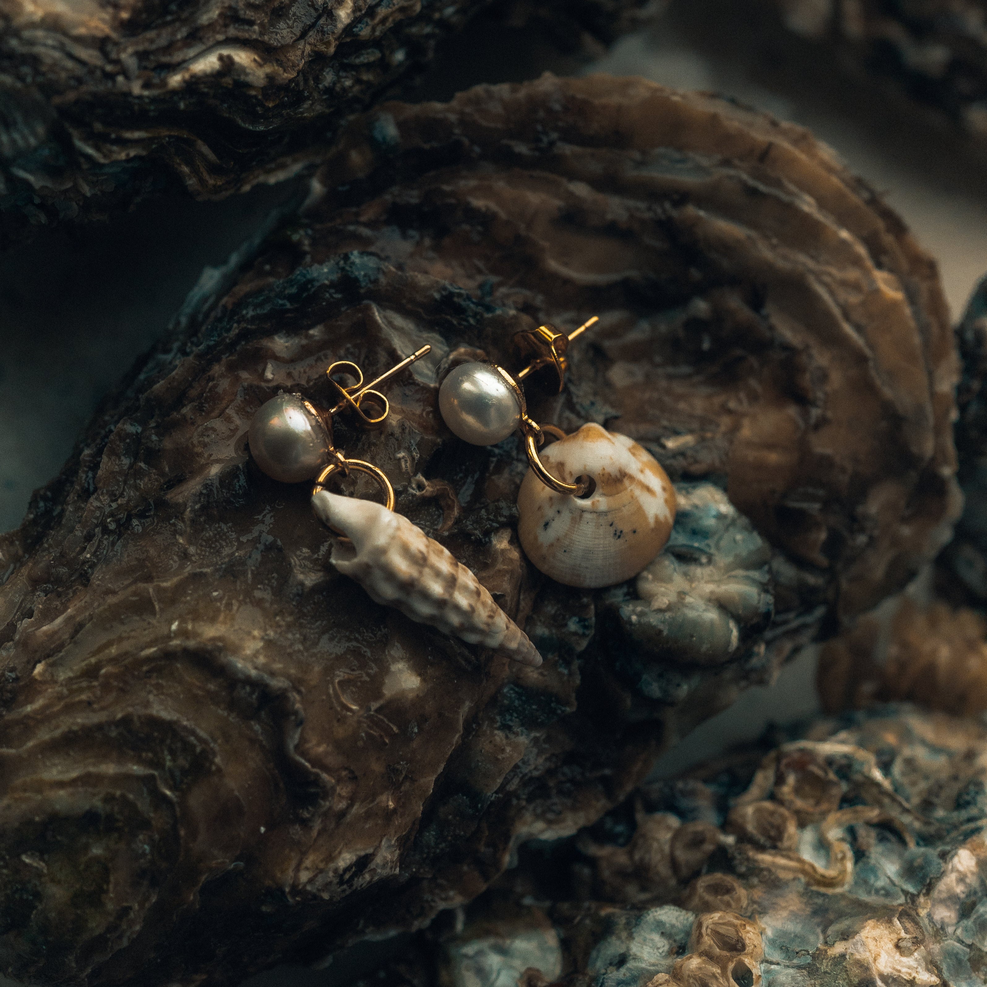 Double Shell earrings